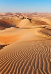 Abu Dhabi Evening Desert Safari