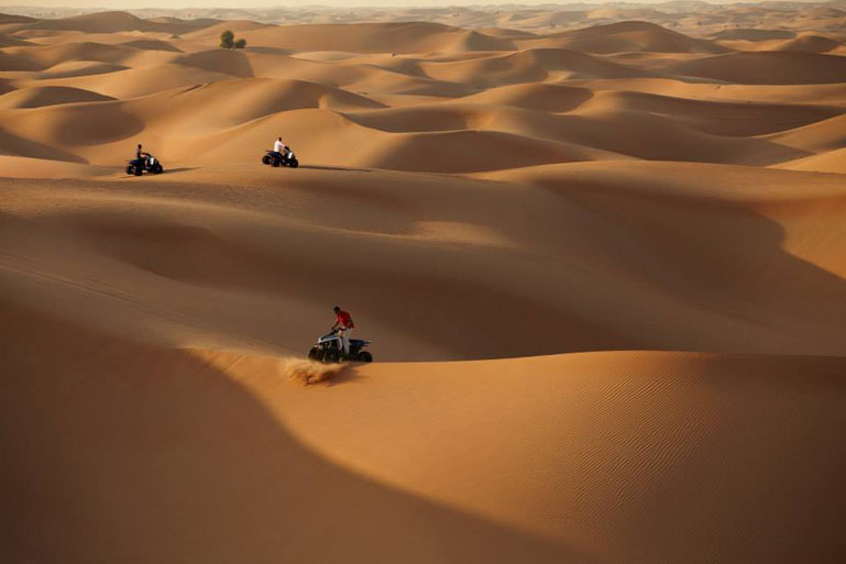 Abu Dhabi Evening Desert Safari