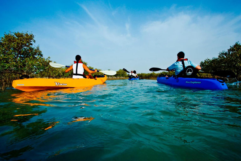 Mangrove Kayaking Abu Dhabi