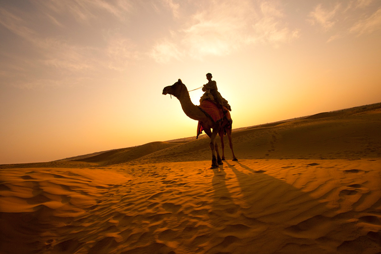 Overnight Desert Safari Abu Dhabi