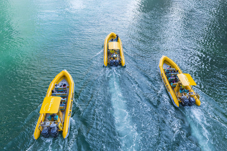 Yellow Boat Abu Dhabi