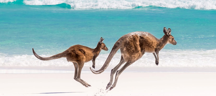  Australia travel guide 2023 
