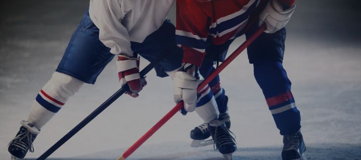 Attend a Hockey Game