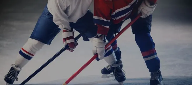 Attend a Hockey Game