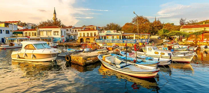 Peaceful vineyard landscape and stone houses on the island of Bozcaada in the Aegean Sea