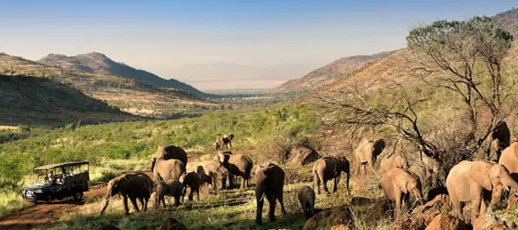 Pilanesberg National Park 