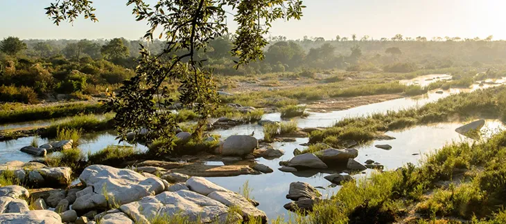 Sabi Sands Game Reserv