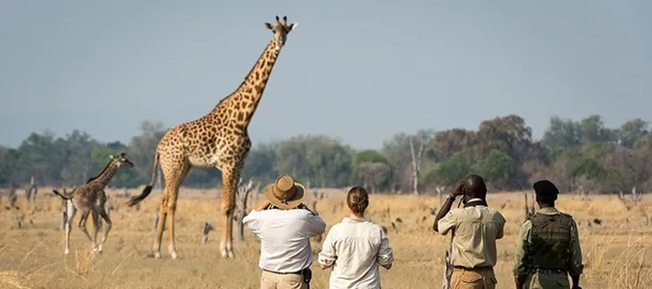 Walking Safari Trails