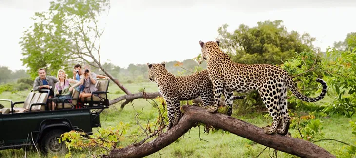 Kruger National Park