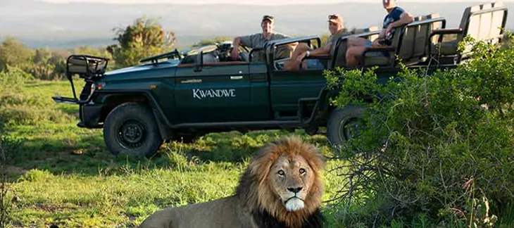 Kwandwe, Cape Town Safari