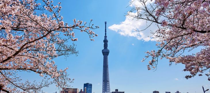 Climb Tokyo Skytree