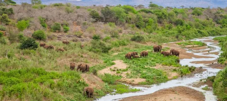 ISimangaliso Wetland Park
