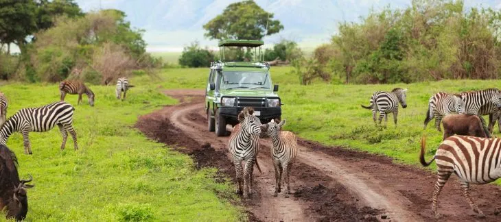 Madikwe Game Reserve