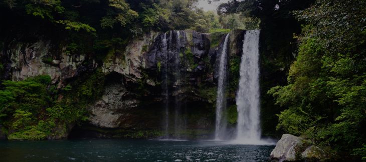 Cascading water at Melin Court Waterfall surrounded by lush forest