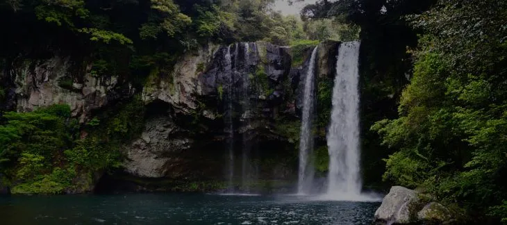 Cascading water at Melin Court Waterfall surrounded by lush forest
