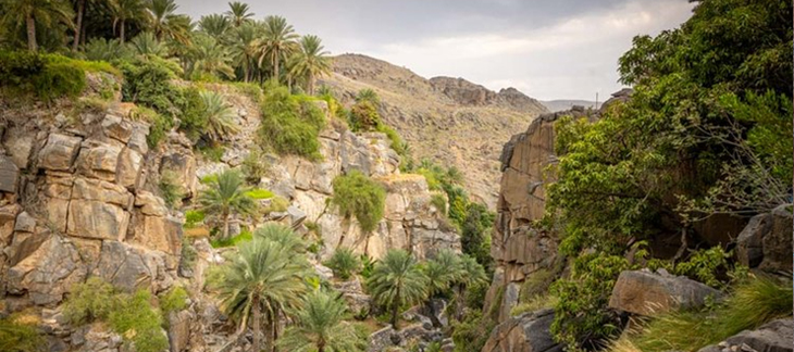 Dramatic cliffs and deep canyons of Jebel Shams, known as the Grand Canyon of Oman