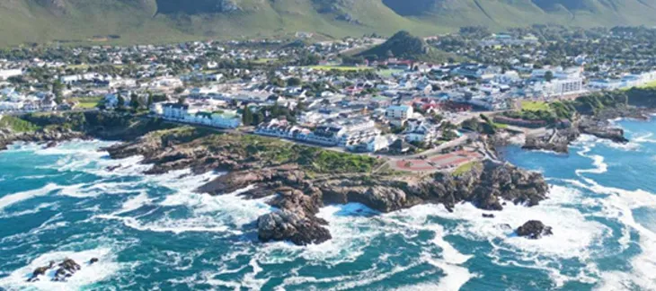 Whale breaching near the coast of Hermanus during whale-watching season