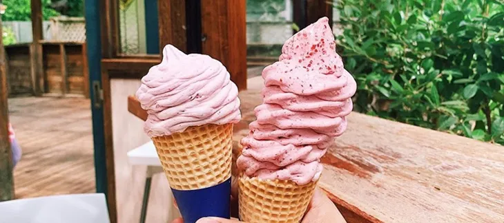Enjoy New Zealand’s Best Exhibit in Ice Cream