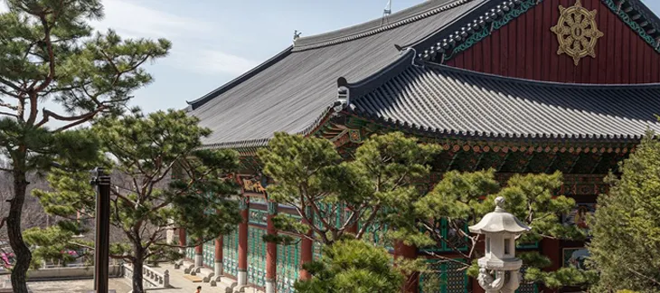 Visit Buddhist Temple