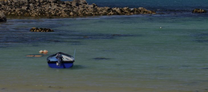 Palm-fringed white sandy beach on the Isles of Scilly