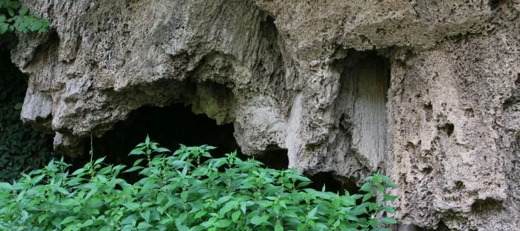 Crystal-clear waterfalls and lush forests in Una National Park