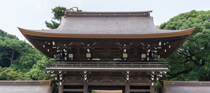 Visit Meiji shrine, Harajuku, & Shibuya
