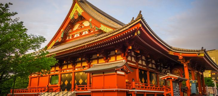 Visit Meiji Shrine in Tokyo