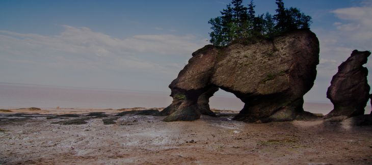 Visit the Bay of Fundy