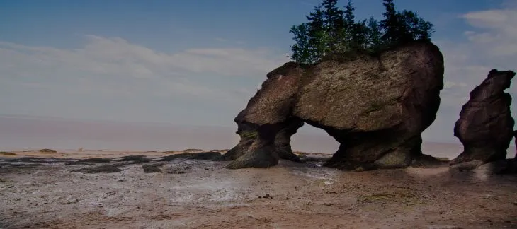 Visit the Bay of Fundy