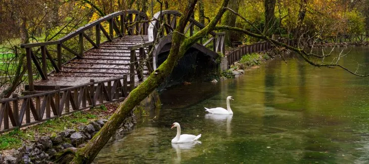 Tranquil walking paths and flowing streams at Vrelo Bosne nature park