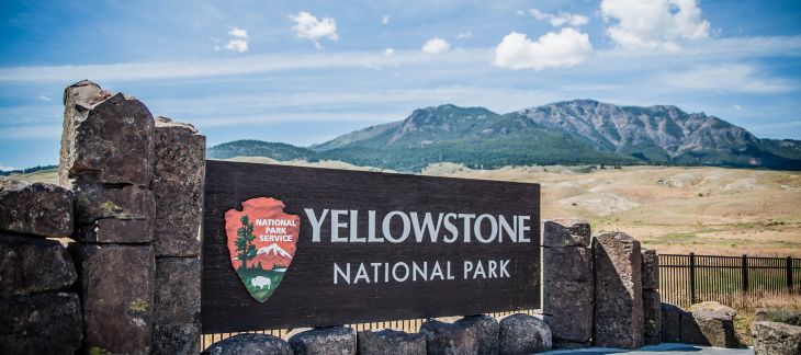 Geysers and wildlife in the vast wilderness of Yellowstone National Park