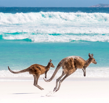 Australia travel guide 2023