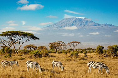 Kenya Tour Packages From Dubai