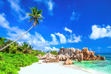 Seychelles Tour Packages From Dubai