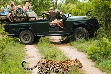 South africa Highlights