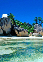 Seychelles Winter Special 