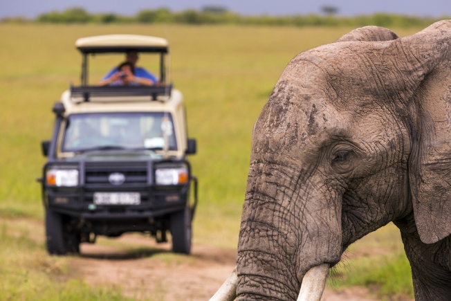 Arooha tourist viewing wildlife in Africa on Masai Mara Safari Tour