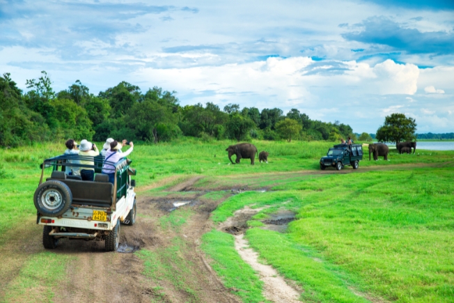 Arooha guest doing safari in Minneriya, Sri lanka