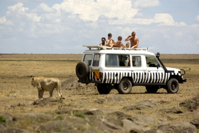 Arooha guest watching lion at Masai Mara in Kenya
