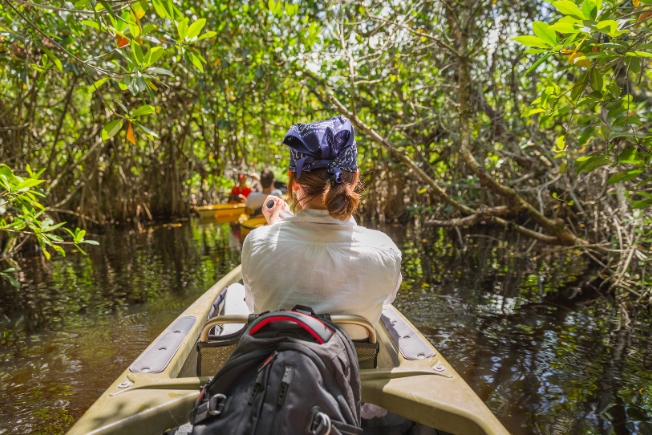 Arooha tourist kayaking in mangrove forest at Everglades Florida in USA