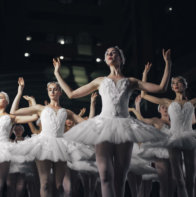 Enjoy a Ballet or Opera Performance