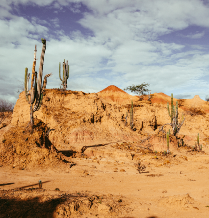 Explore the Deserts of Mangystau
