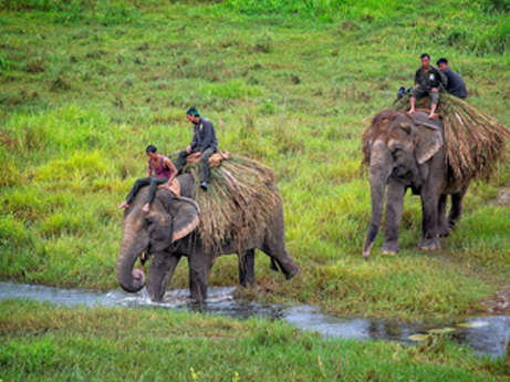 Chitwan National Park