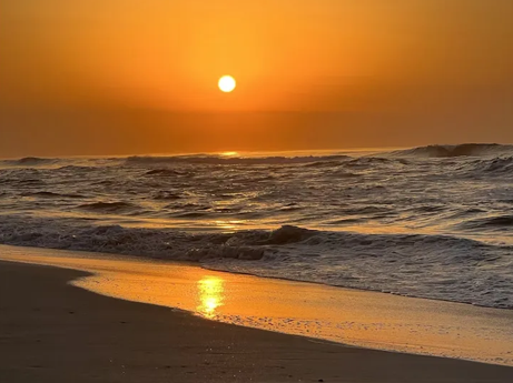 Discover Khareef Season in Salalah