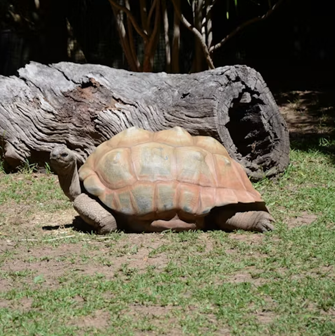 Seychelles - Visit World Heritage Sites