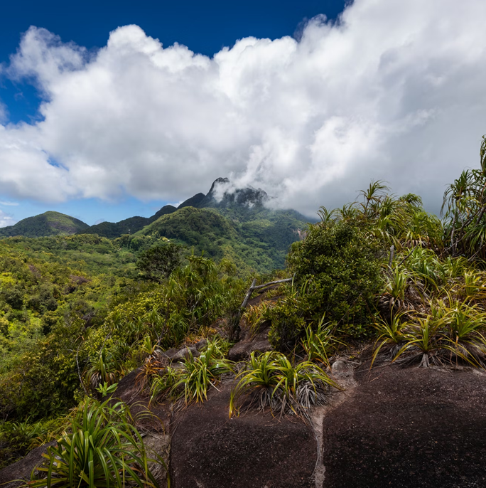 Seychelles - Wildlife and Hiking Adventures 