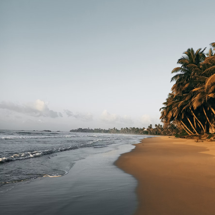 Sri lanka - Beach Adventures