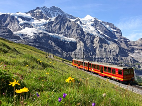 Swiss and Italy Summer Tour