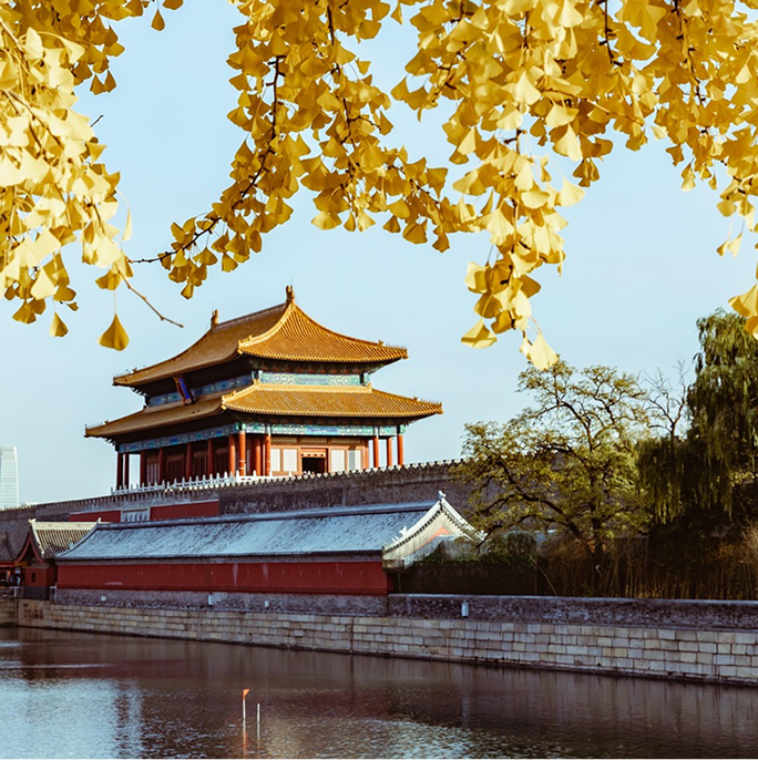 Visit the Forbidden City 