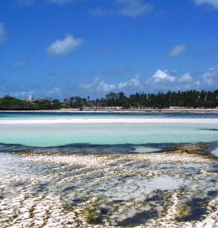 Marine Activities at Watamu